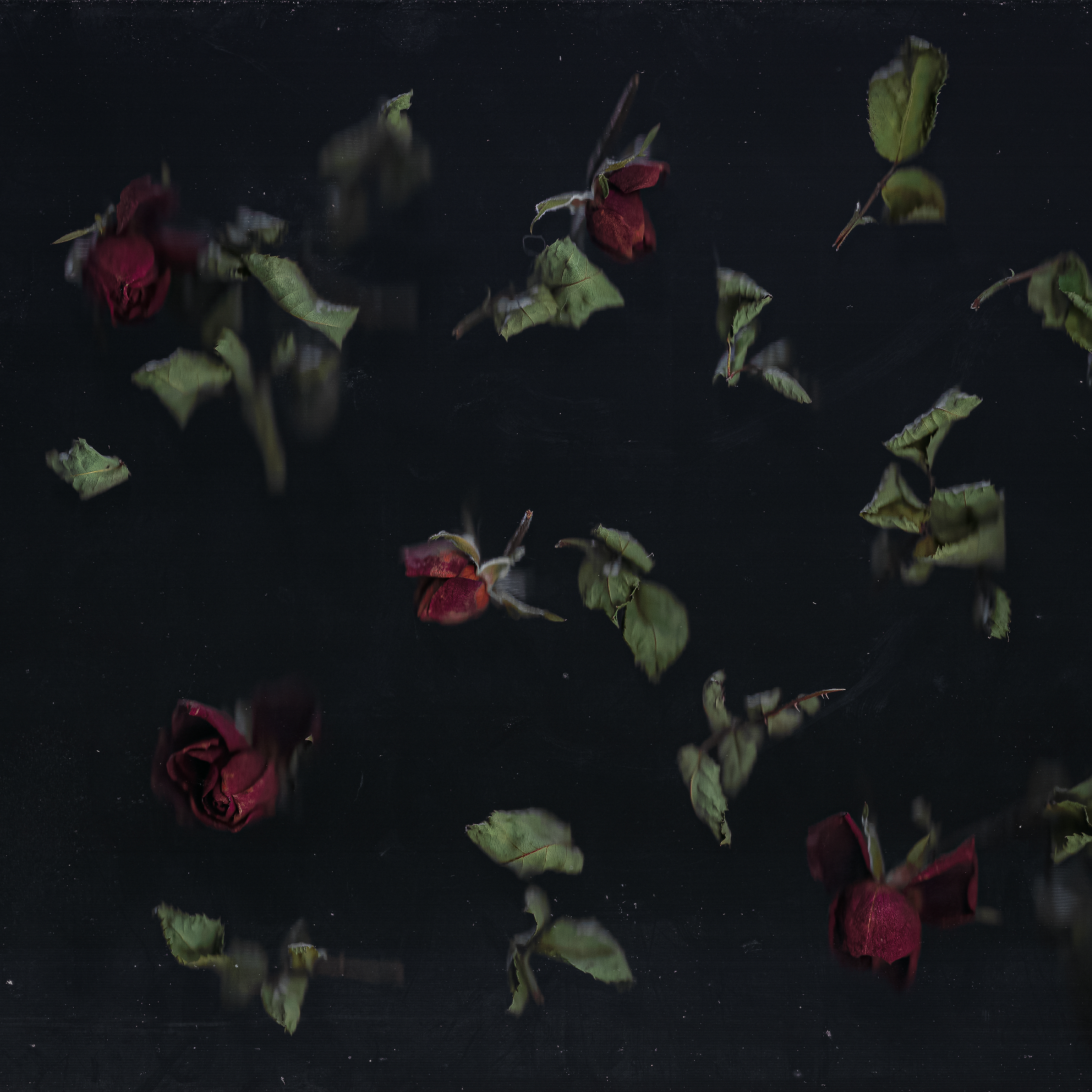 Enough For No One single artwork